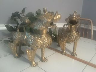 Vintage Brass Foo Dogs,  Tibetan Snow Lions,  Each 11 " Tall,  9 Lbs,  Euc