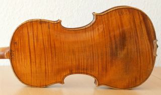 Very Old Labelled Vintage Violin " David Tecchler " 小提琴 скрипка ヴァイオリン Geige