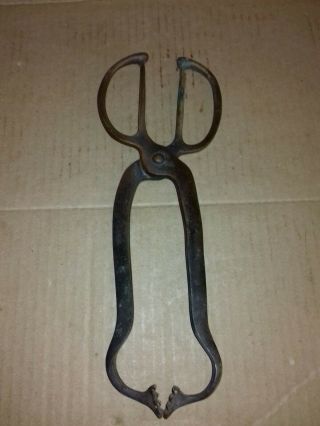 Antique Vintage Brass Scissor Coal Tongs (st6)