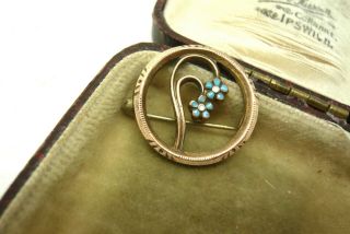 Vintage Jewellery Art Nouveau Enamel Forget Me Not Flower Brooch Pin