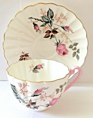 Vintage Shelley Scalloped Roses Pattern Tea Cup & Saucer Rg.  2564