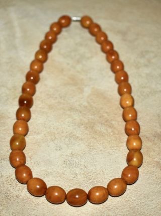 RARE Baltic Egg Yolk Old German Amber Beads Necklace 39,  5g Antique Butterscotch 3