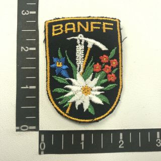 Vtg Flowers Of Banff Canada Patch (in Banff National Park) 06wk