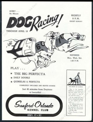 1977 Greyhound Dog Racing Art Sanford Orlando Kennel Club Racetrack Vintage Ad