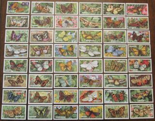 1938 Gallaher Butterflies & Moths Cigarette Tobacco Cards Complete Set Of 48