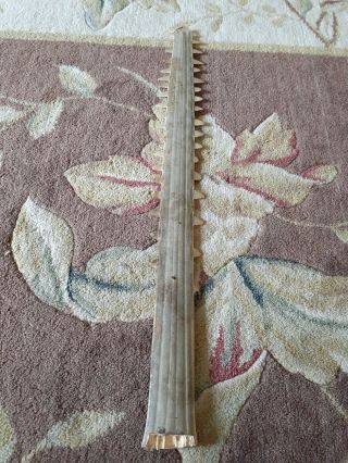 Sawfish Rostrum,  Antique,  Highly Collectible
