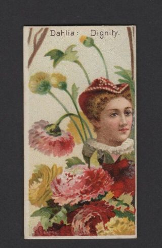 1892 W.  Duke Sons & Co.  Floral Beauties & Flowers N75 Dahlia