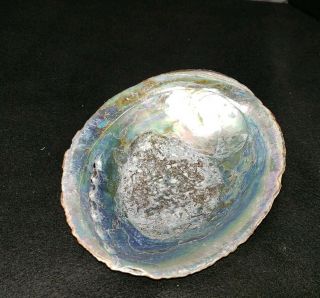 Vintage Large Abalone Shell - 7.  5 " X 6.  5 " - Smudging,  Jewelry Or Decor