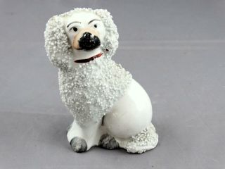Vintage Staffordshire England Poodle Spaniel Dog Figurine Confetti 3.  5 " Tall