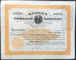 Burley Tobacco Company Of Lexington,  Kentucky.  Stock 1914.  Great History.  Burley