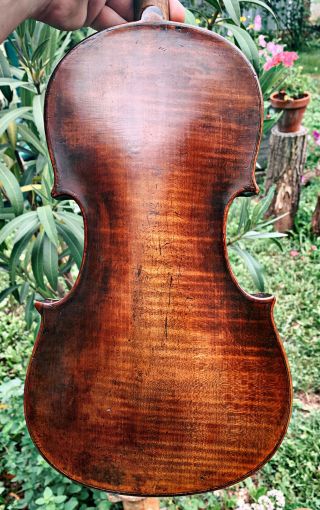 Rare,  Italian Old,  Antique 4/4 Labelled Violin - Ready To Play