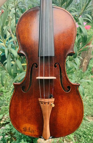 Rare,  ITALIAN old,  antique 4/4 labelled violin - READY TO PLAY 2
