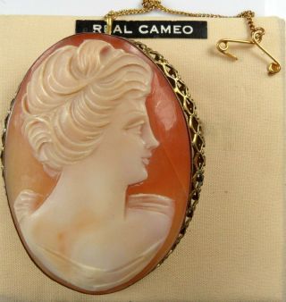 Stunning Vintage 1960s Gold Tone Natural Carved Shell Cameo Brooch Female