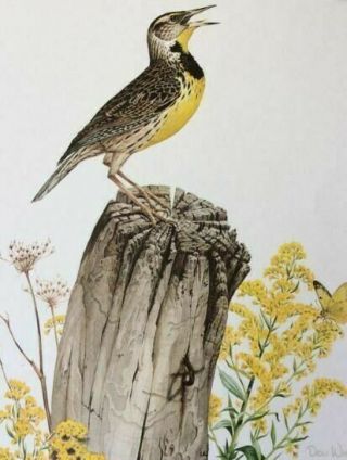 Vintage Don Whitlatch Signed Limited Ed Print Eastern Meadowlark,  1972 – Exc
