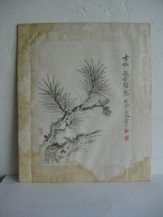 Fine Old Chinese Brush & Ink Watercolor Pine Tree Branch Painting Signed