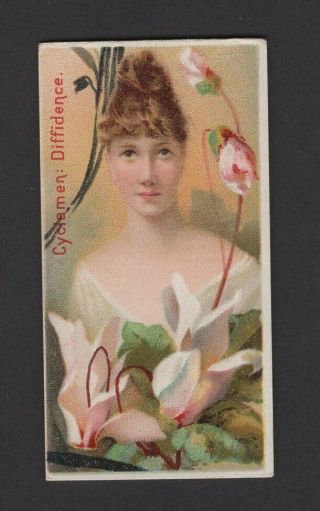 1892 W.  Duke Sons & Co.  Floral Beauties & Flowers N75 Cyclamen