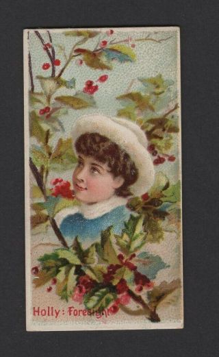 1892 W.  Duke Sons & Co.  Floral Beauties & Flowers N75 Holly