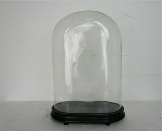 Antique Victorian Oval Hand Blown Glass Globe Dome Doll Clock 17.  61 " H 12.  2 " W