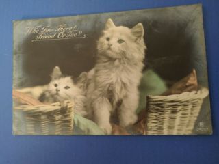 Vintage Cat Postcard.  Two Kittens In A Wicker Basket.  British.  Mailed.