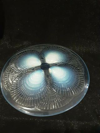 Rare antique Rene Lalique plate,  c.  1920,  Coquilles pattern,  gorgeous,  signed 2