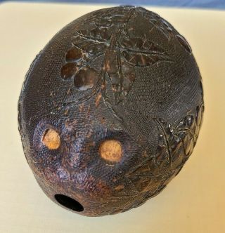 Antique 18th c Colonial Bugbear carved coconut powder flask folk art treen box 2