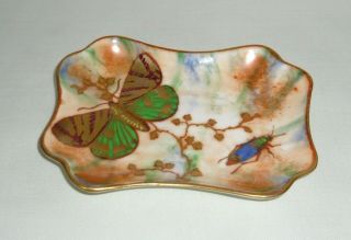 Vintage Aynsley Small Lustre Tray/pin Dish Butterfly And Beetle C1925 - 34