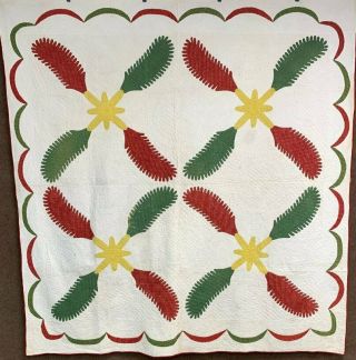 Early Pa C 1850s Princess Feather Applique Quilt Antique Turkey Red Mustard Gree
