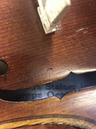 Antique Jacobus Stainer in Absam Violin 4/4 2