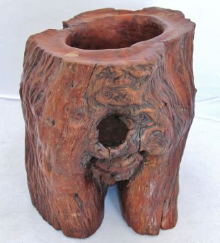 Chinese Natural Tree Trunk Form Burl Wood Brush Pot (6.  1 ")