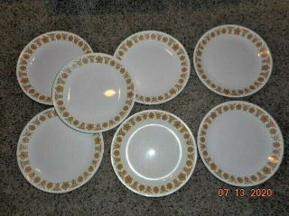 Vintage Corelle Butterfly Gold Dinner Plates,  Set Of 7