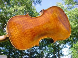 Antique Hopf Violin One Piece Tiger Maple Back