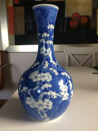 Chinese Antique Bottle Prunus Vase Double Blue Ring Kangxi Mark.