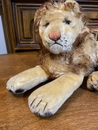 Vintage Steiff 1960s Reclining Leo Lion 10.  5” Hand Colored Mohair & Glass Eyes