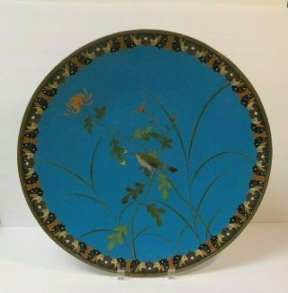 19th C.  Chinese Cloisonne Enamel 18 " Charger,  Bird & Flowers