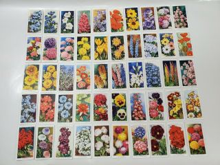 Htf Old Vintage Garden Flowers W.  D & H.  O.  Wills Set 50 Tobacco Cigarette Cards Nm