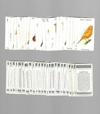 Cigarette Cards.  John Player Tobacco.  Aviary & Cage Birds.  (full Set Of 50).  (1933)