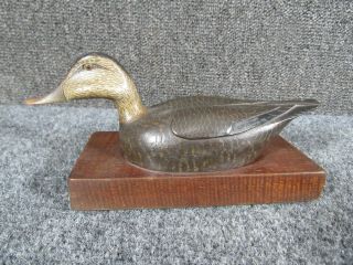 Antique Carved Wood Mounted Duck Decoy By Lewis Webb Hill Decoy