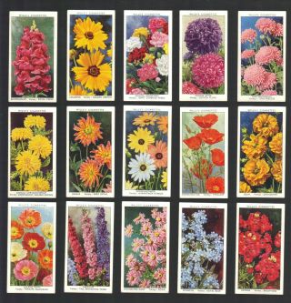 Cigarette Cards.  Wills Tobacco.  Garden Flowers.  (1939).  (complete Set Of 50).