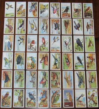 1937 Gallaher,  Ltd.  British Birds Cigarette Tobacco Cards Complete Set Of 48
