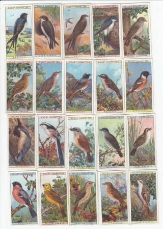 1915 Complete Set Of 50 British Birds Cards Wills