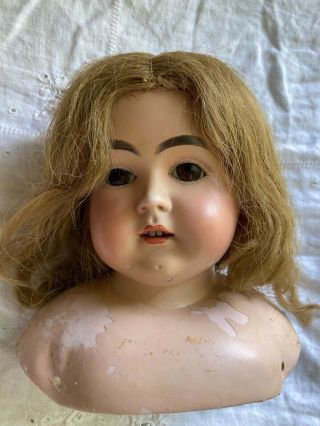 Antique W German Bisque Doll Head L 4 " X 7 "