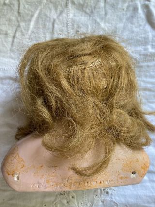 Antique W German Bisque Doll Head L 4 