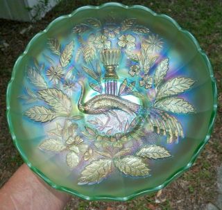 Antique Northwood Peacock & Urn Ice Green Carnival Glass Master Ics Bowl