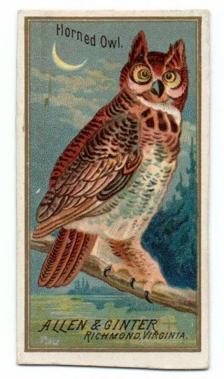 1888 Allen & Ginter N4 Birds Of America Horned Owl