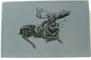 Chillin " Moose Empty Wooden Cigar Box Gray With Sliding Top Smoking Moose 10x6.  5