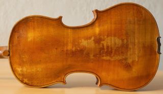 Very Old Labelled Vintage Violin " E Tom Carcassi " Fiddleァイオリン Geige 1320