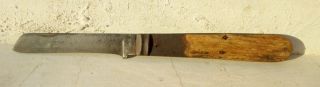 Antique Old Stage Horn Handle Joseph Rodgers & Son 