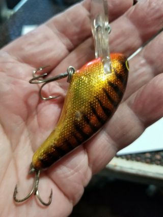 Bagley Diving Killer B2 Fishing Lure (h5g) Hot Amber/gold Foil/orange Throat.