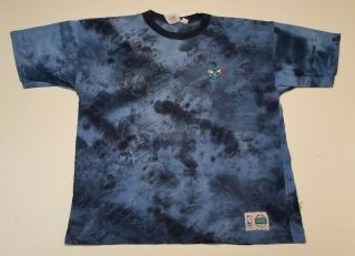 Vintage Charlotte Hornets Tie Dye T Shirt In The Paint Nba Michael Jordan