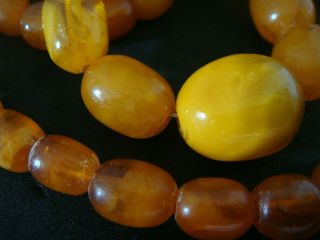 Antique Natural Baltic Egg Yolk Yellow Butterscotch Amber Bead Necklace 36 Grams